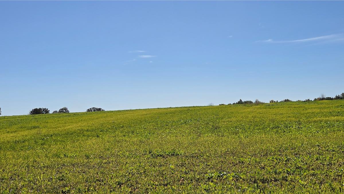 Image for 155 Acres Vacant W/ Grain Set Up, Oshkosh WI