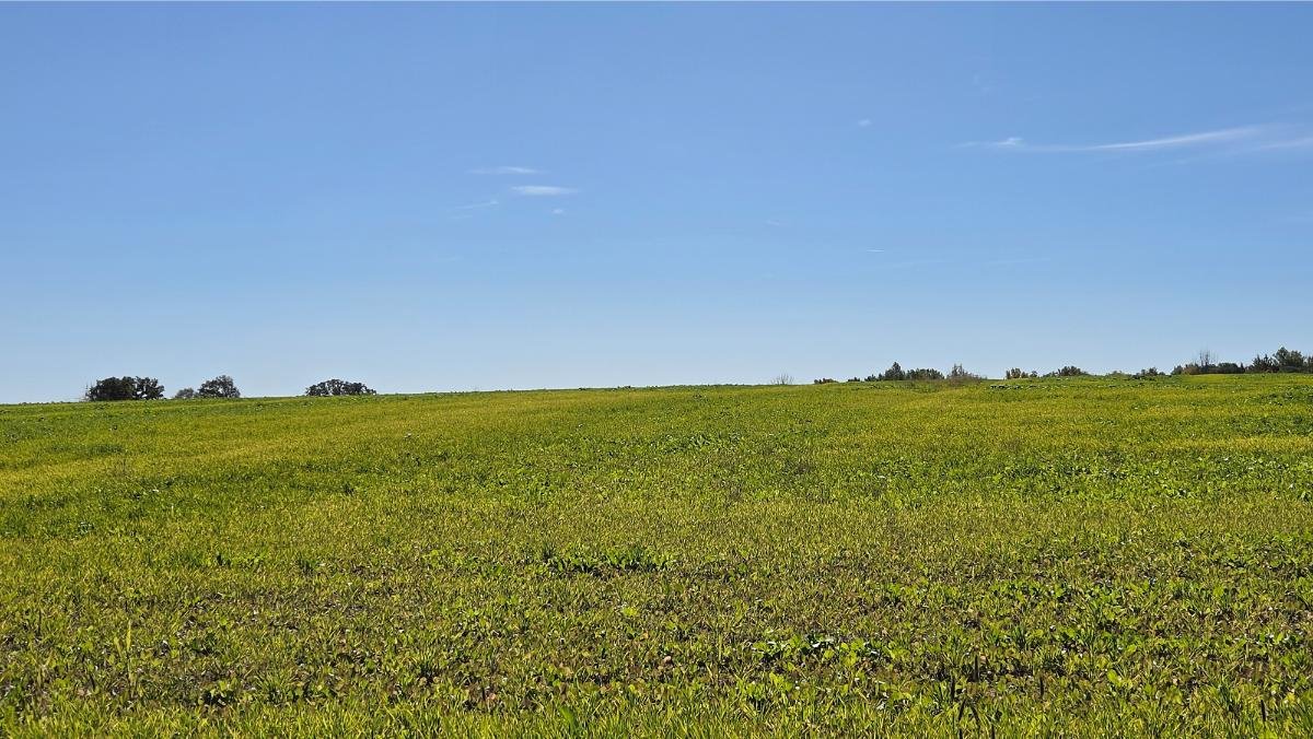 Image for 155 Acres Vacant W/ Grain Set Up, Oshkosh WI