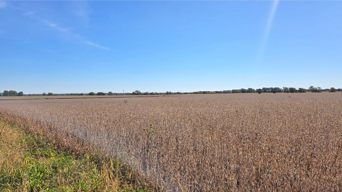Image for 155 Acres Vacant W/ Grain Set Up, Oshkosh WI