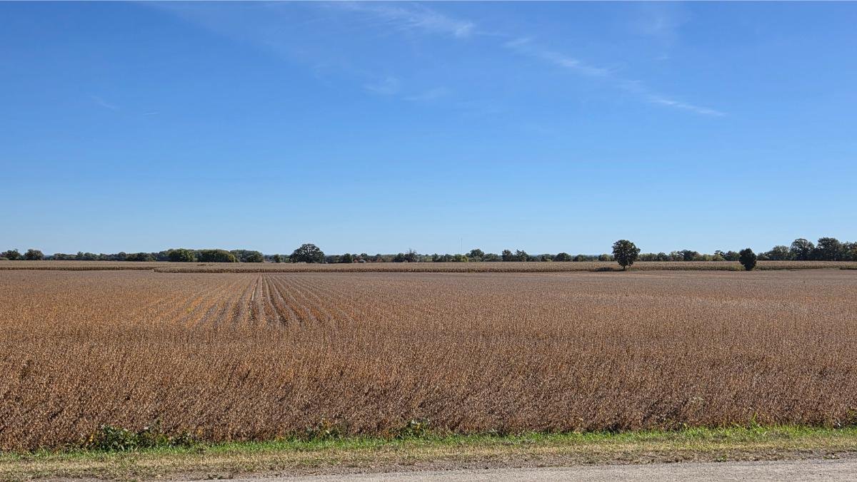 Image for 155 Acres Vacant W/ Grain Set Up, Oshkosh WI