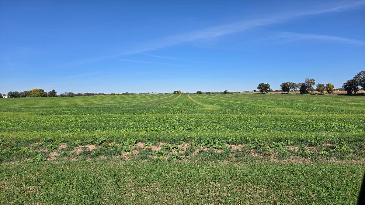 Image for 155 Acres Vacant W/ Grain Set Up, Oshkosh WI