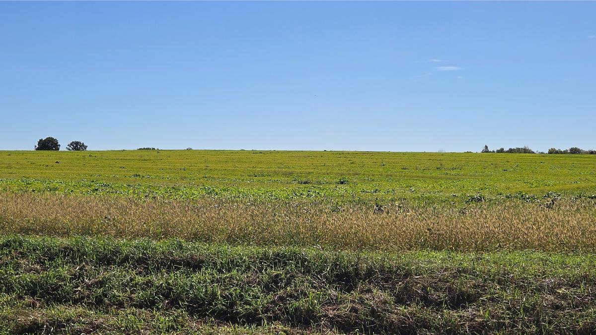 Image for 155 Acres Vacant W/ Grain Set Up, Oshkosh WI