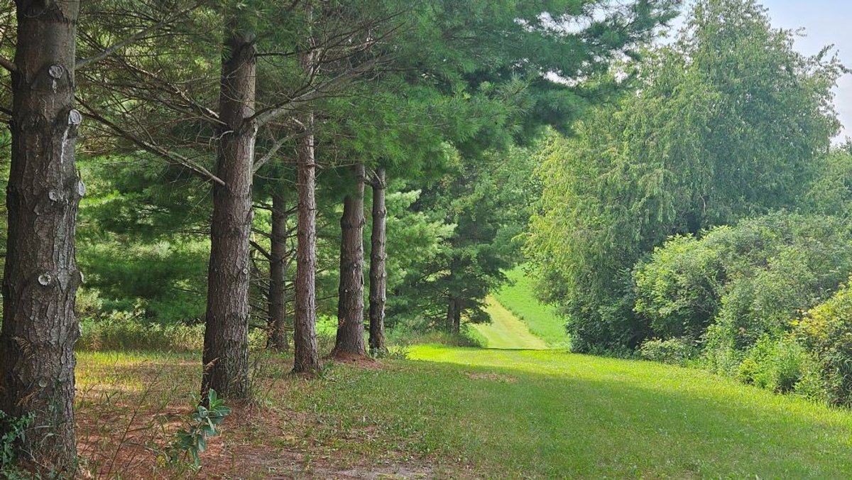 Image for 122 Acre Farm Adams Road, Town of Ashippun, Dodge County