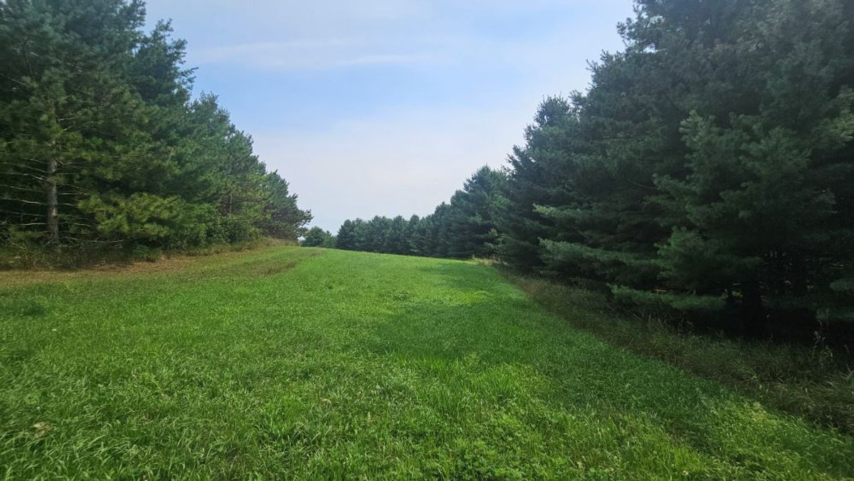 Image for 122 Acre Farm Adams Road, Town of Ashippun, Dodge County
