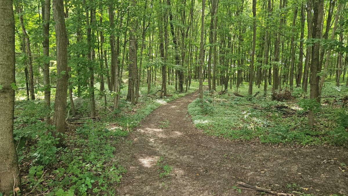 Image for 122 Acre Farm Adams Road, Town of Ashippun, Dodge County
