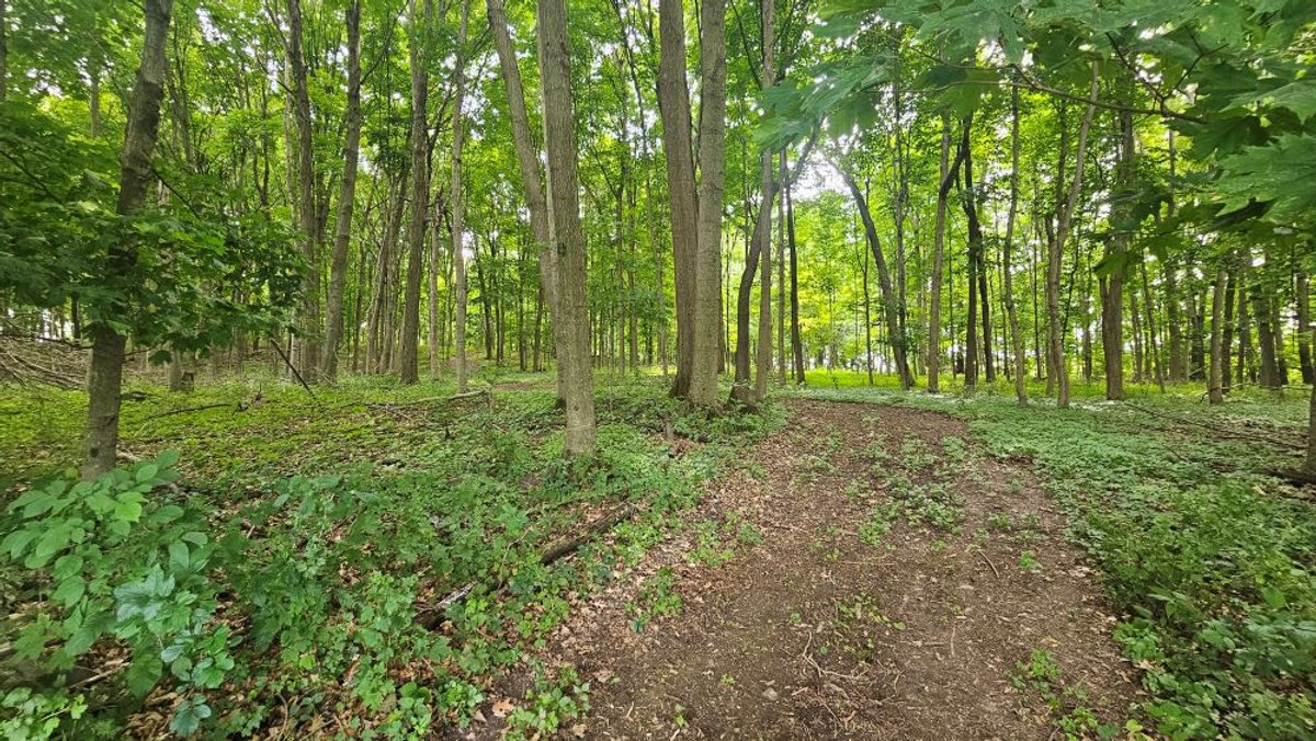 Image for 122 Acre Farm Adams Road, Town of Ashippun, Dodge County