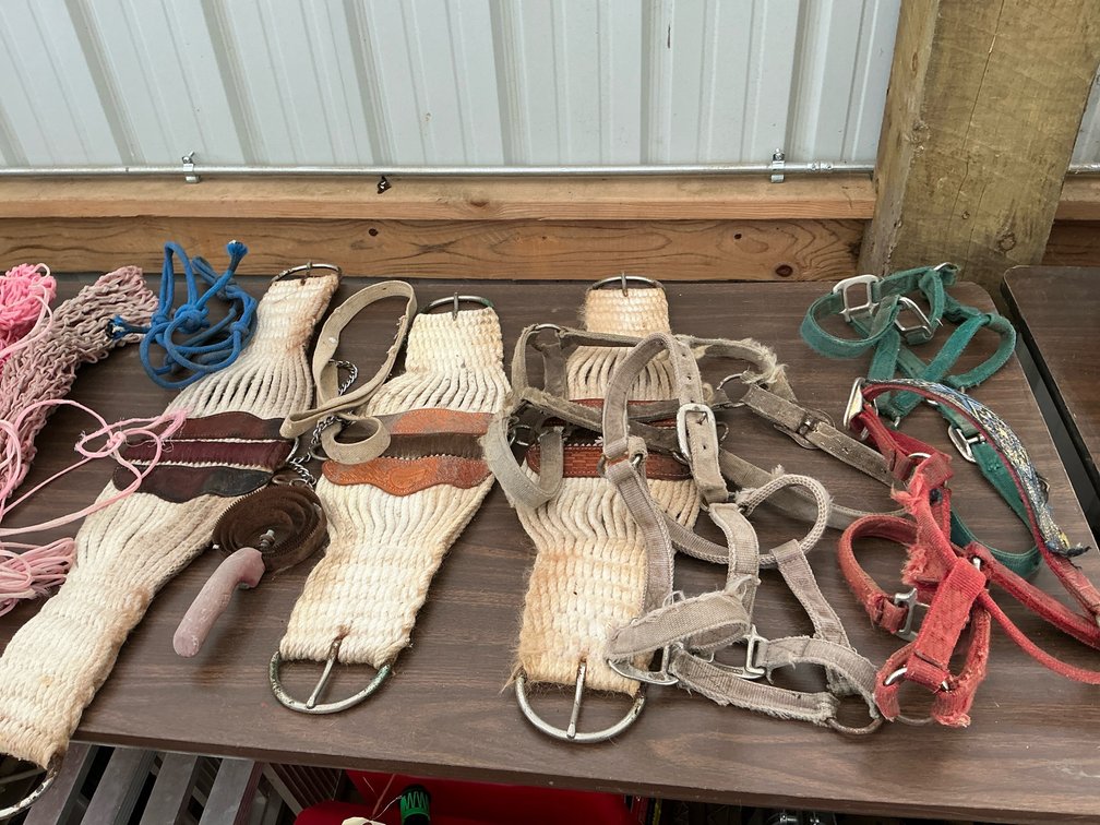 Horse tack