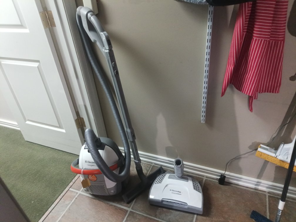 Electrolux Oxygen Canister Vacuum Cleaner with HEPA Filter