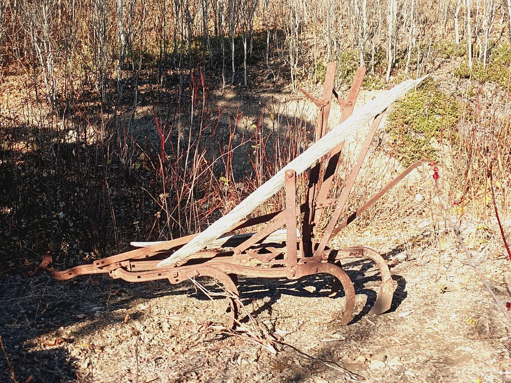 Antique Walk-Behind Horse-Drawn Garden Cultivator