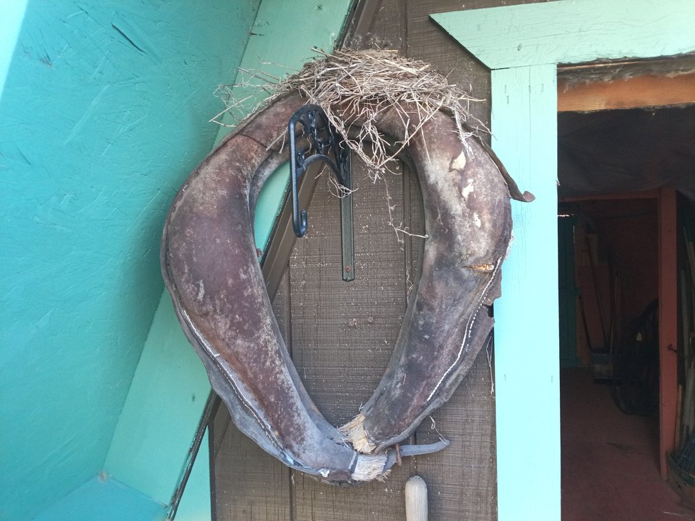 Vintage Leather Horse Collar with Birds Nest