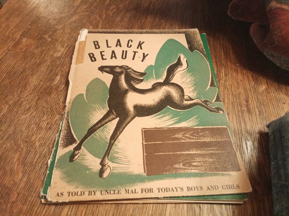 Vintage Book Collection – Dictionaries, Classic Literature & Cookbooks