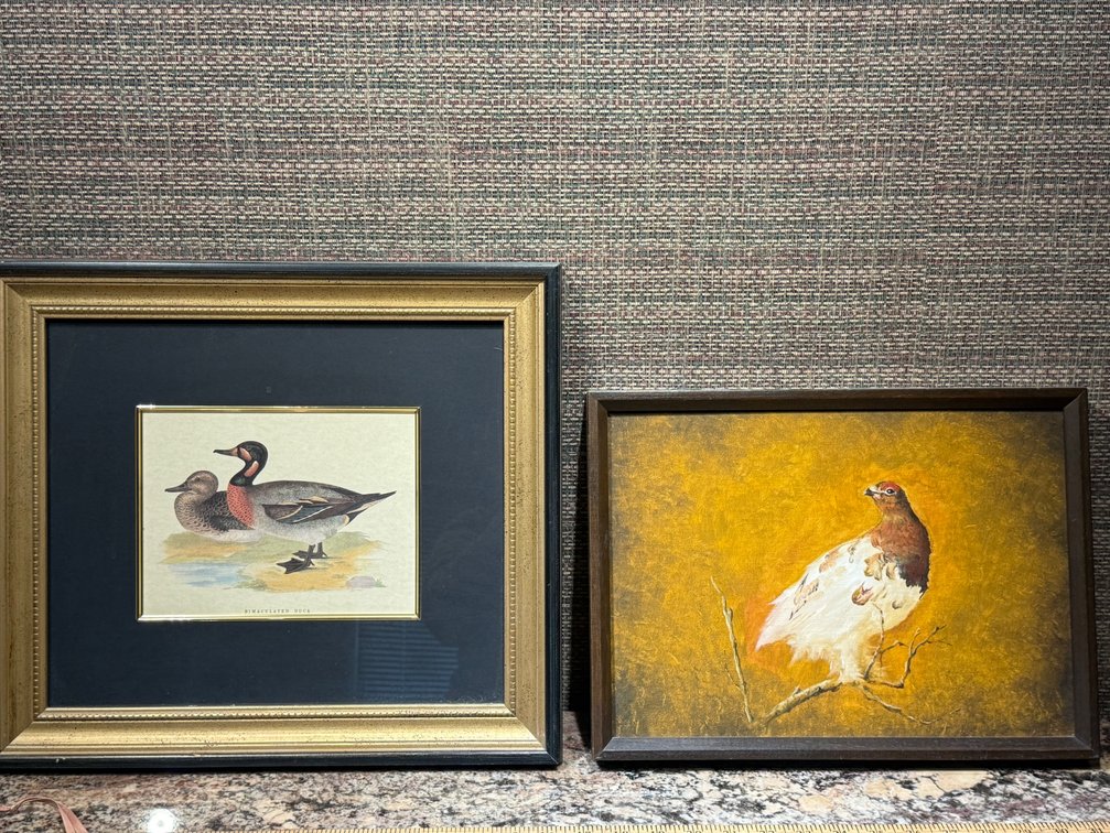 Vintage Framed Bimaculated Duck Print & Original Willow Ptarmigan Oil Painting – Set of 2