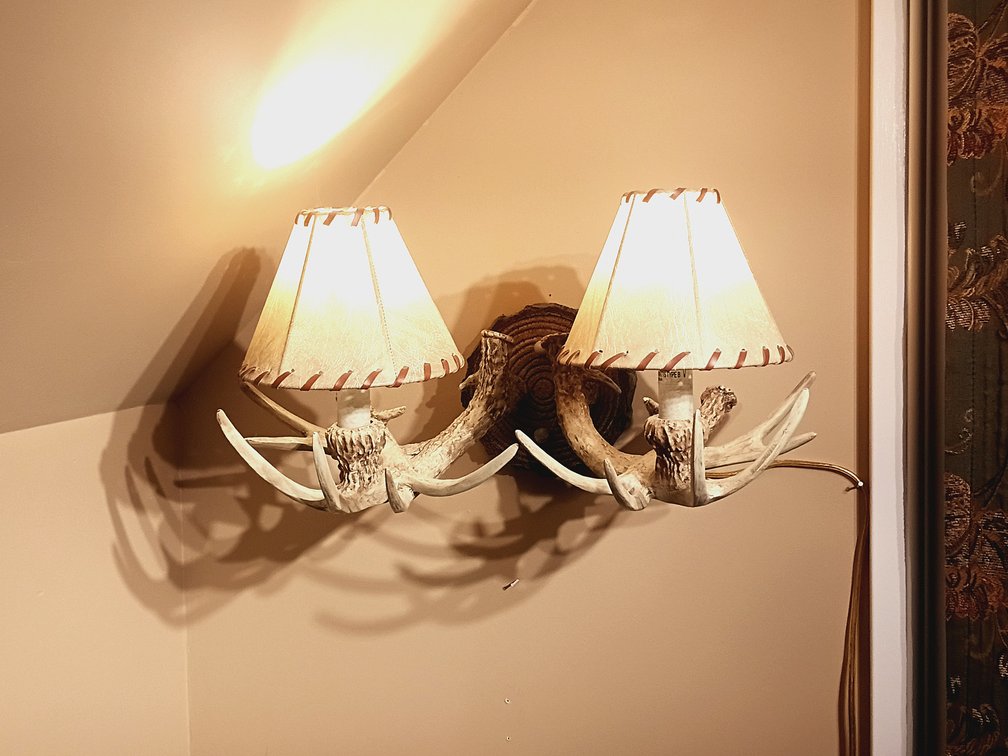 Rustic Antler Double Wall Sconce Light Fixture