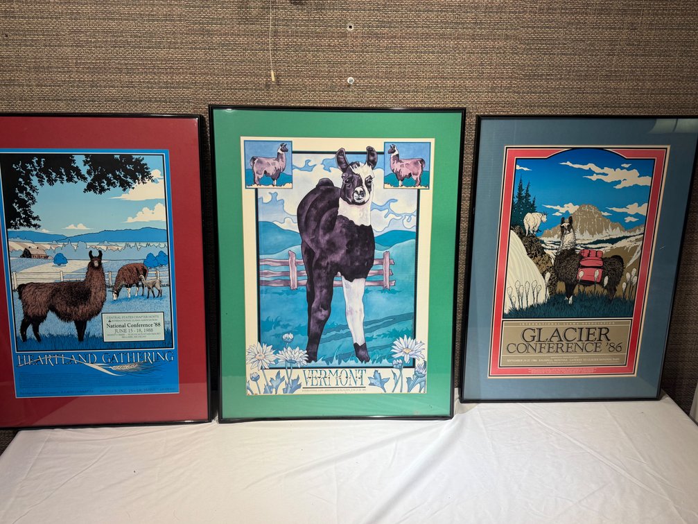 Set of 3 Vintage International Llama Association Framed Conference Posters – 1986, 1988 & 1992