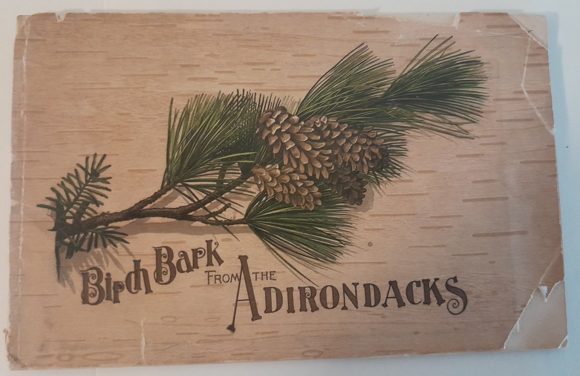 Adirondack Railroad Guide Book (48 pages + 2 maps) 1889