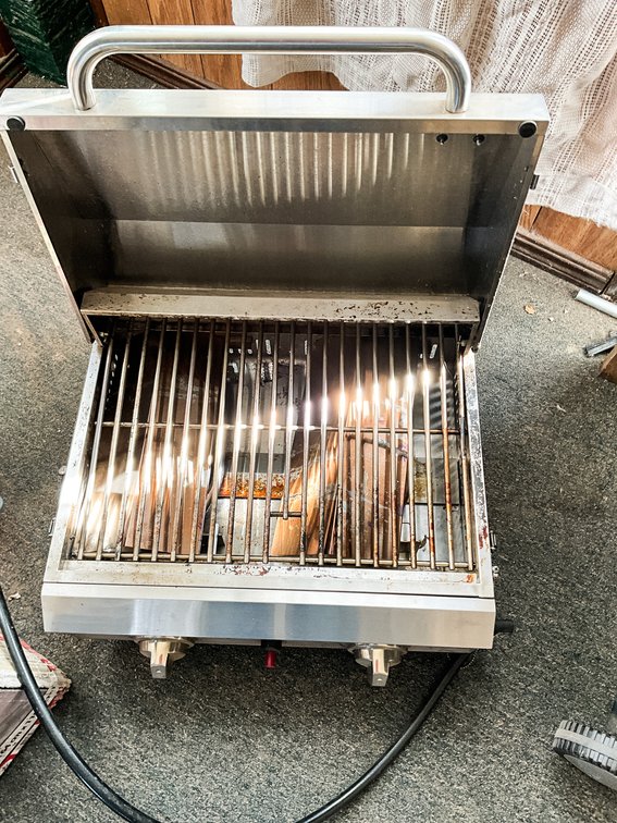 1 Stainless Portable Propane Grill