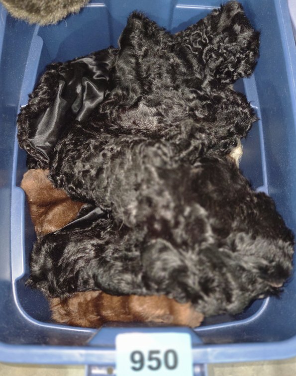 Tote With Assorted Fur Wraps and Stoles