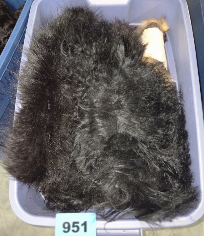 Tote With Assorted Fur Wraps and Stoles