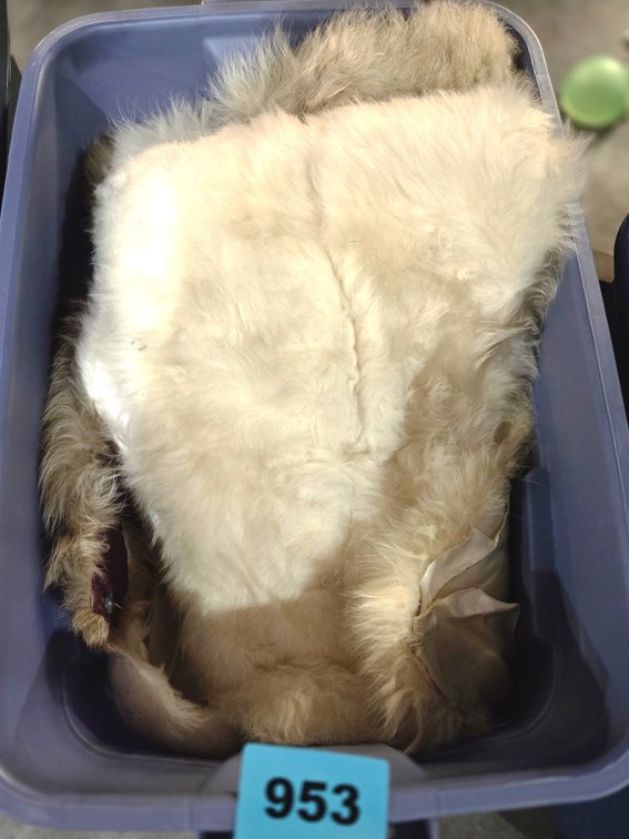 Tote With Assorted Fur Wraps and Stoles