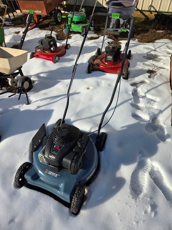 Senix F-450 Briggs&Stratton 20'' Cut