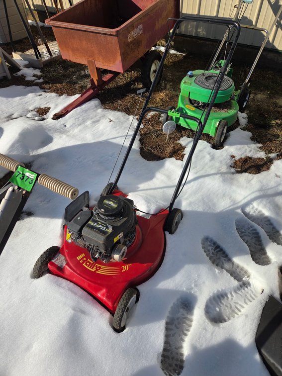 Rally 3.75 HP Briggs&Stratton 20" Cut