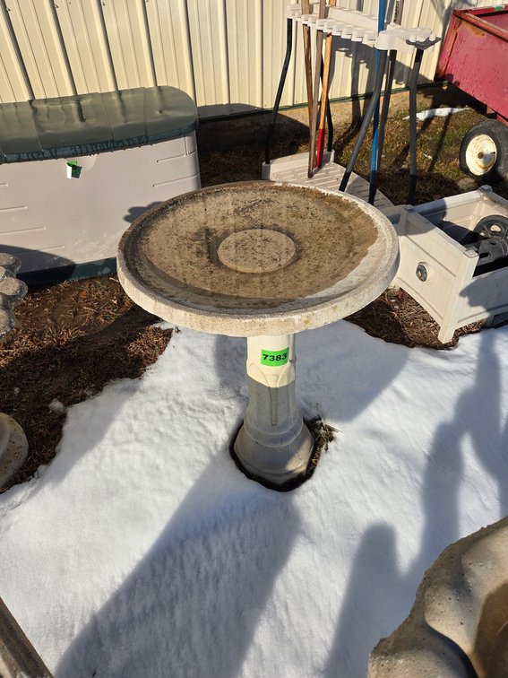 Bird Bath