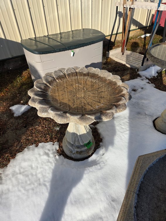 Bird Bath