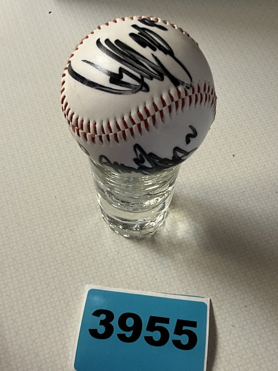 Baseball Signed By Japanese Players