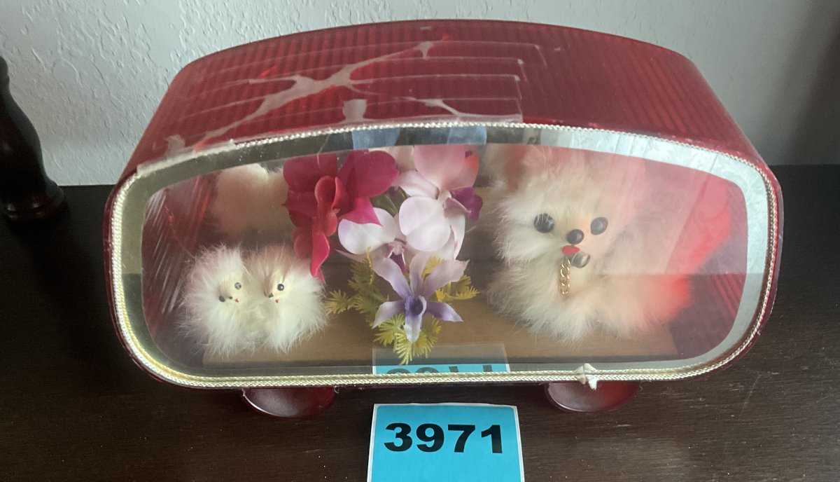Dogs Behind Glass