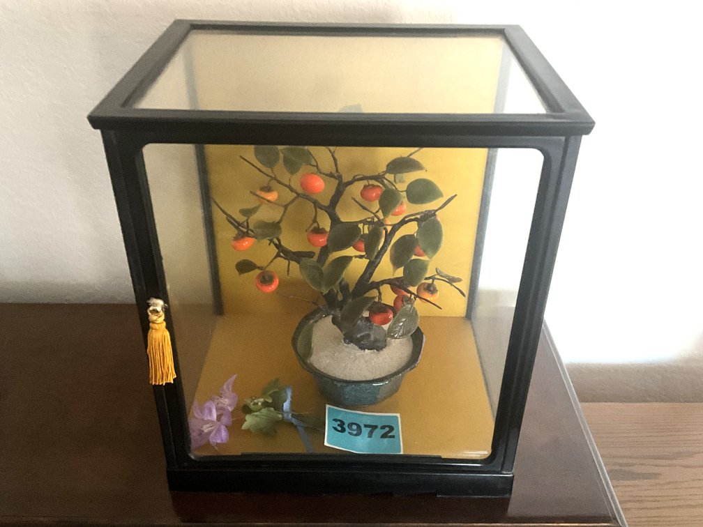 Fruit Bearing Tree Behind Glass