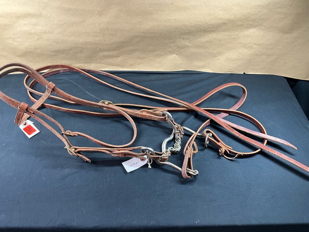 Crockett Low Port Solid Shanked Bit With Leather Headstall And Reins
