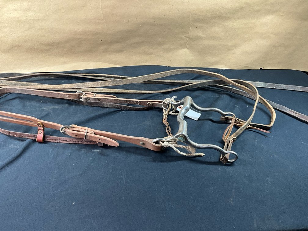 DLO Low Port Solid Shanked Bit With Leather Headstall And Split Reins