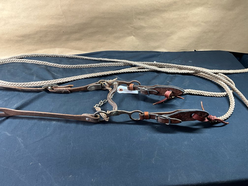Kelly Medium Port Shanked Bit With Leather Headstall And Nylon Split Reins