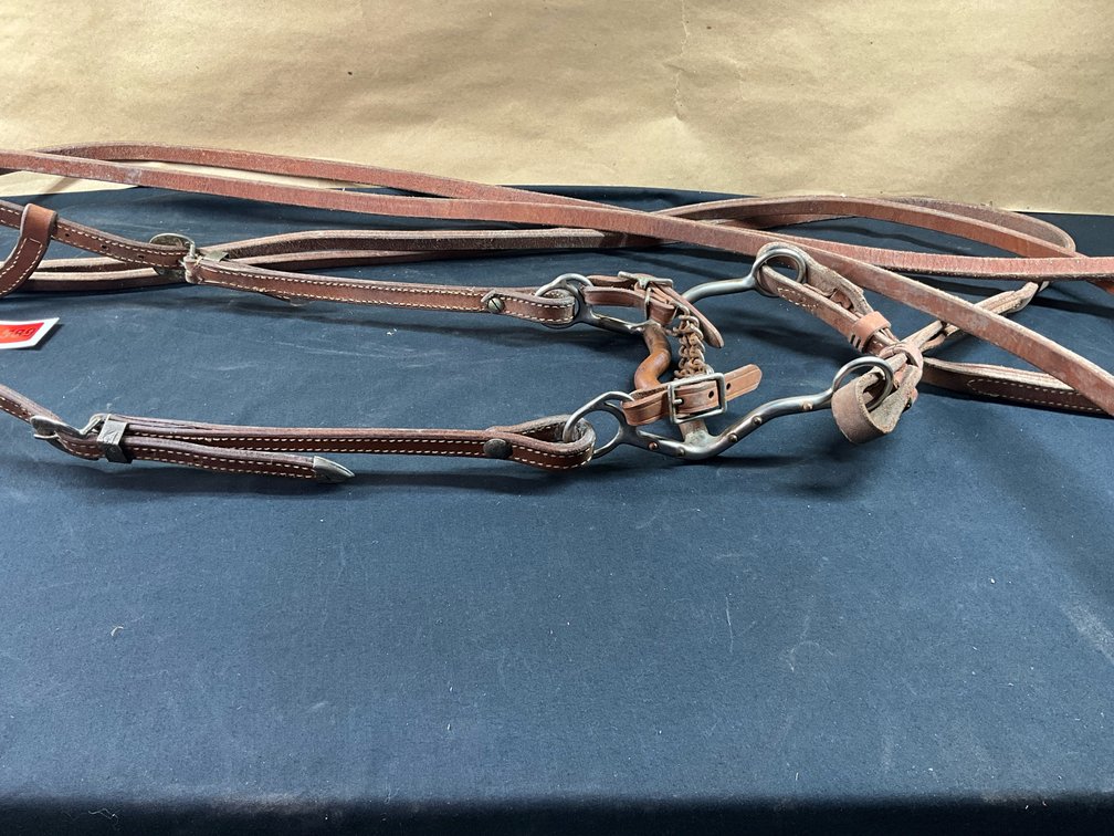 Unknown Maker Low Port Solid Shanked Bit With Leather Headstall And Split Reins