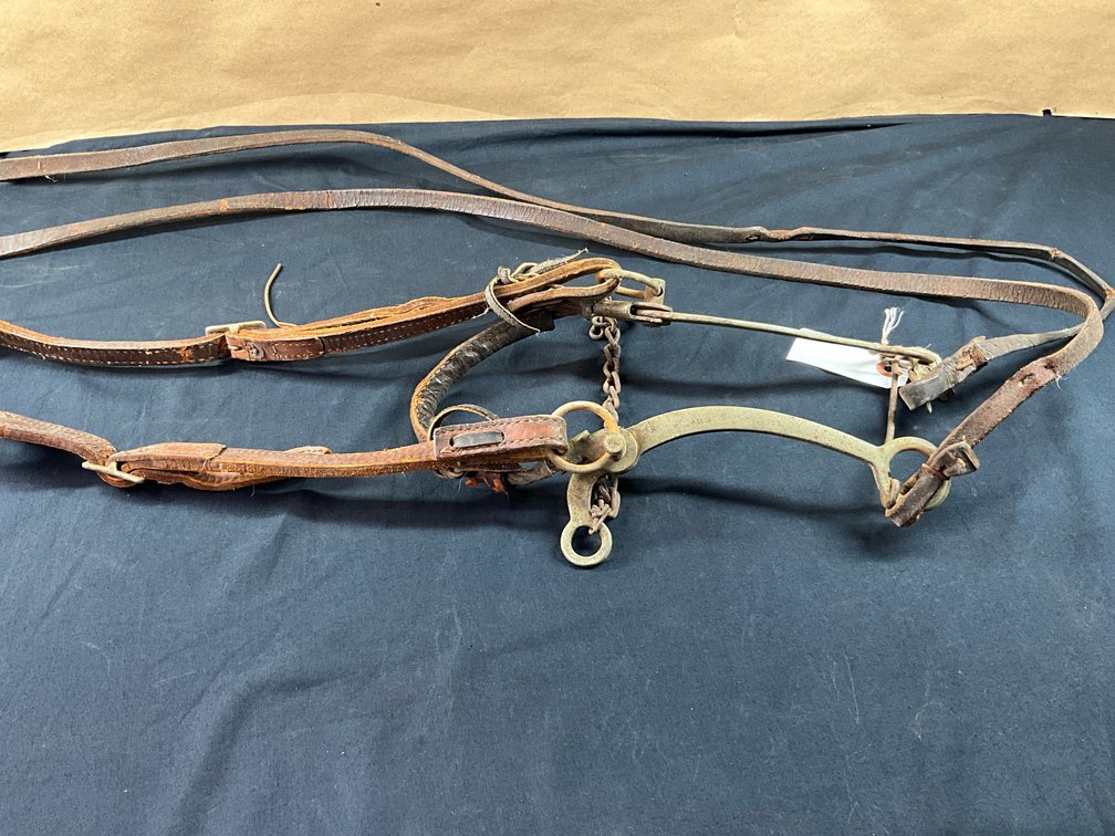 Kelly Hackamore With Leather Headstall And 1 Piece Leather Reins