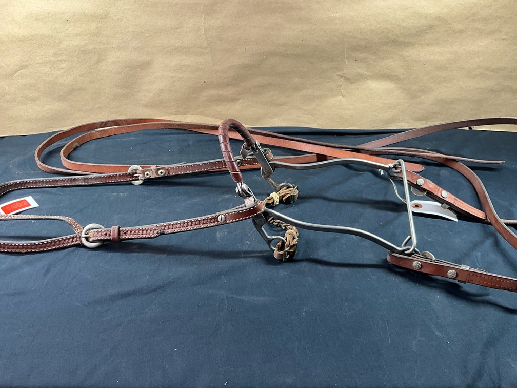 Bobby Marshall Hackamore With Leather Headstall And Split Reins