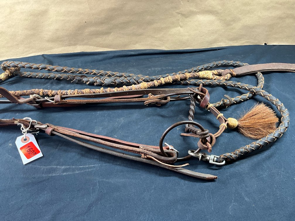 Twisted Wire Ring Bit With Leather Headstall With Braided Leather Reins