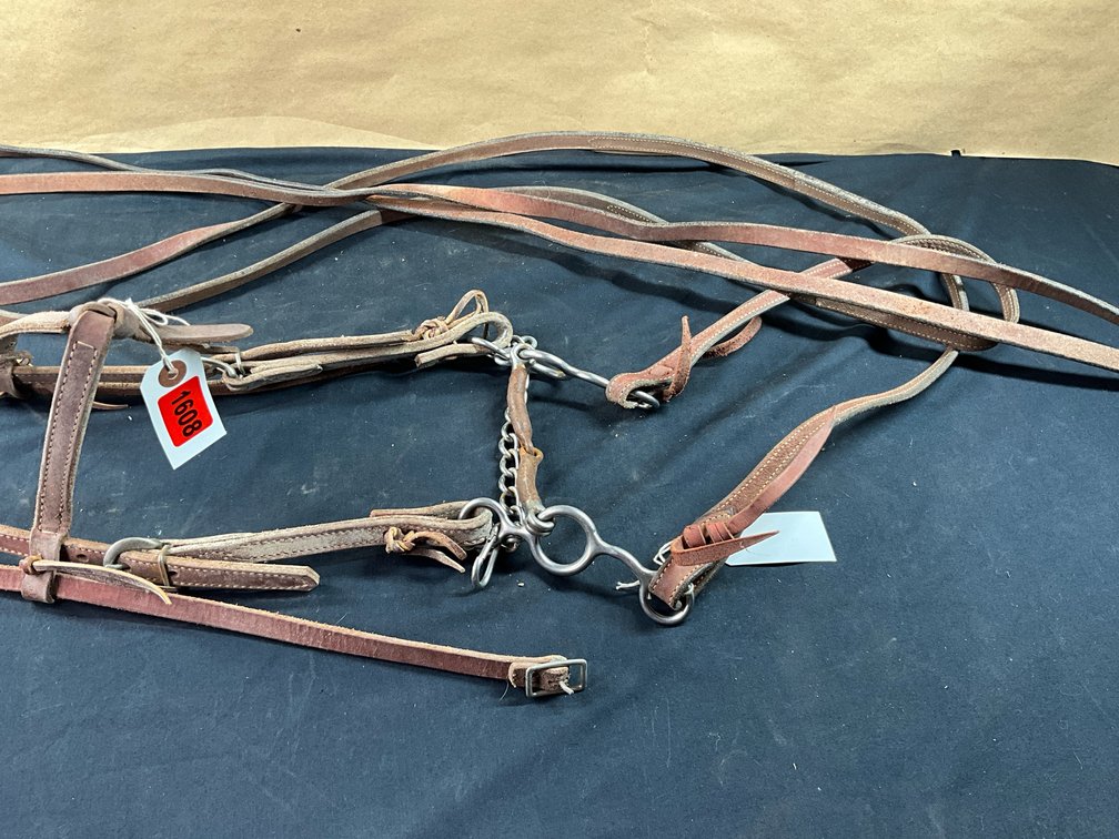 Loose Shanked Bit With Broken Mouthpiece With Leather Headstall And Split Reins
