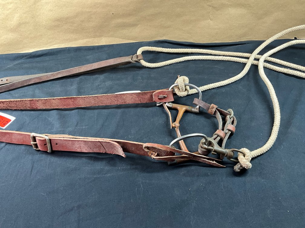 D Ring Snaffle Bit With Leather Headstall And Cotton Braided Reins