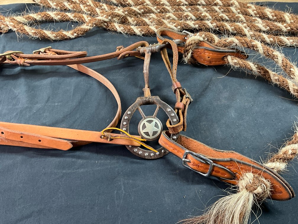 D Ring Snaffle Bit With Leather Headstall And Horse Hair Braided Reins