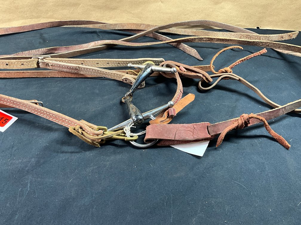 Broken Shank Tom Thumb Bit With Leather Headstall And Split Reins