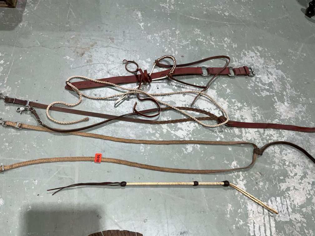 2 Sets Of Reins, Noseband, Set Of Hobbles, etc.