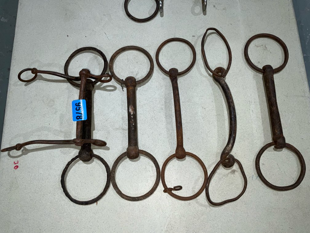 6 Mule Bits