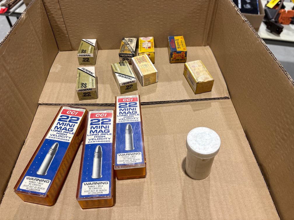 Assorted 22 LR