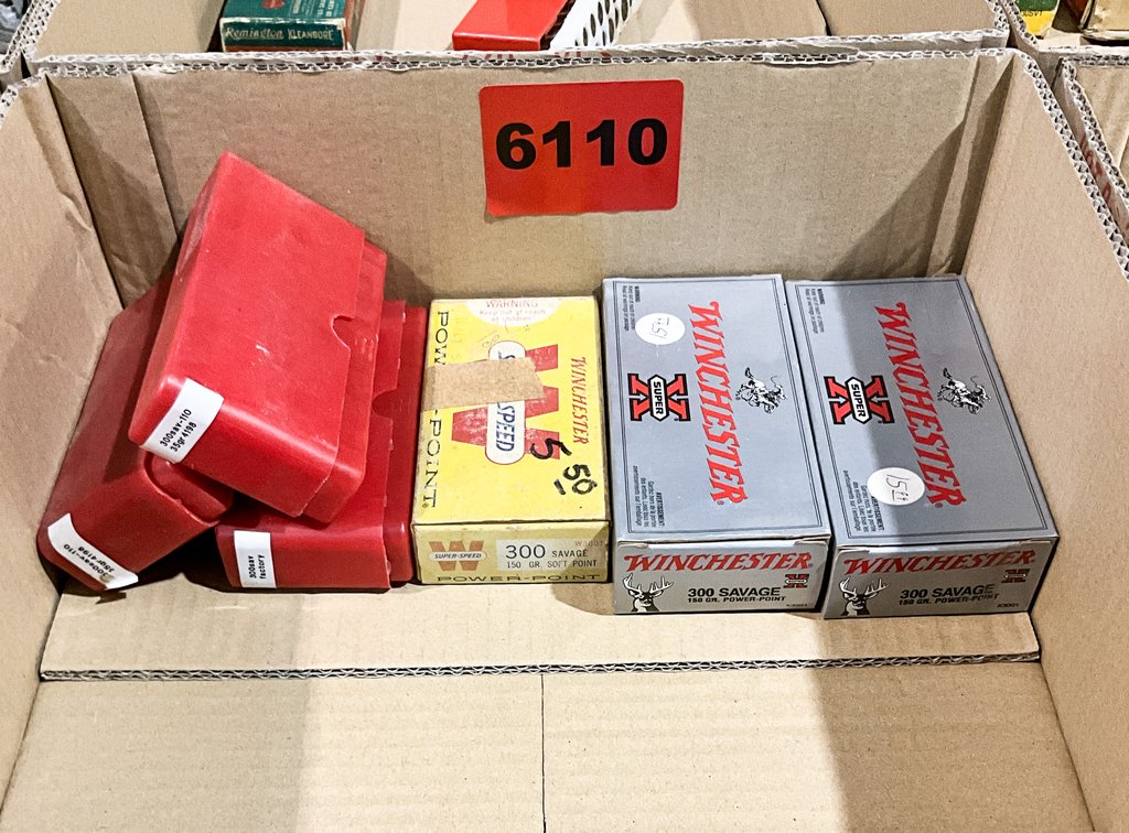6 - Boxes 300 Savage 