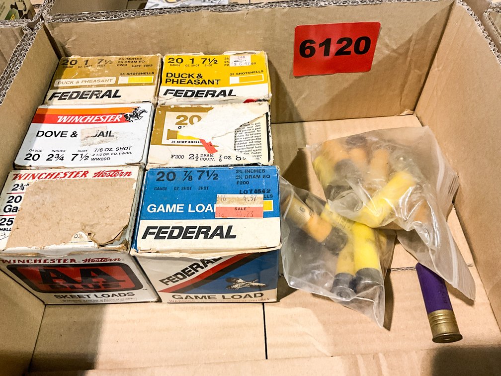 6 - Boxes 20 GA W/ 2 Asst. Bags 