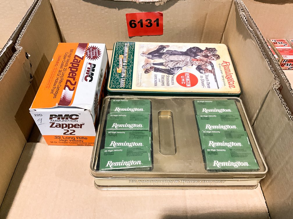 1300 Rounds .22 LR 