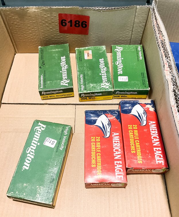 6 Boxes 308 Ammo 