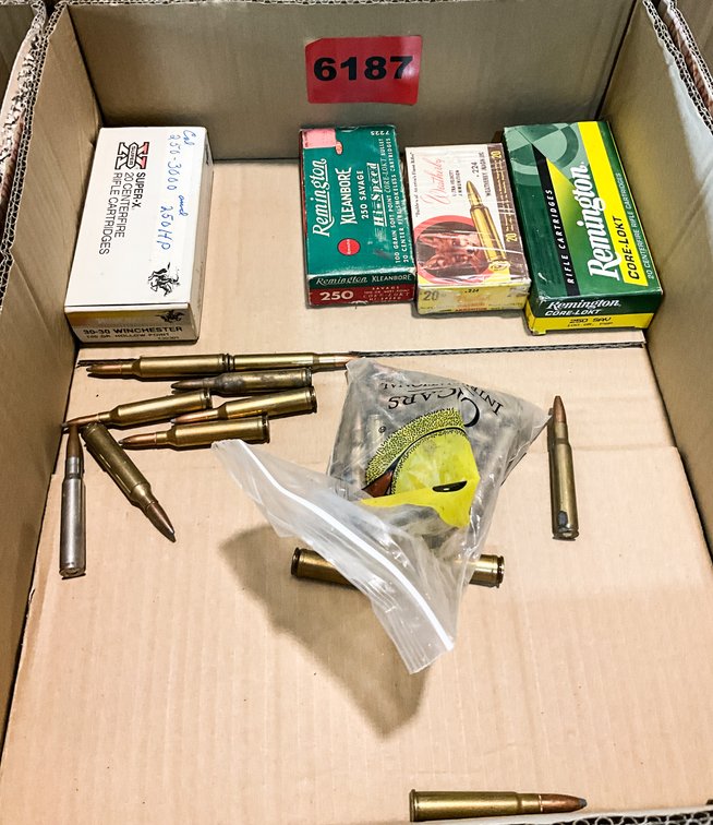 Asst. Ammo 250 Savage, 300 Win Mag, 224 WBY
