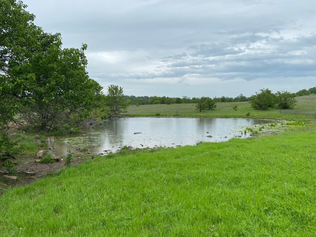 Image for Guardian/Personal Representative’s Real Estate Land Auction - Skiatook